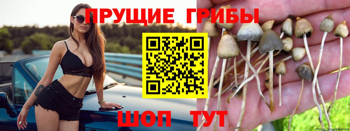 Псилоцибиновые грибы мицелий  Вход с VPN  Биробиджан  Псилоцибиновые грибы Magic Shrooms 